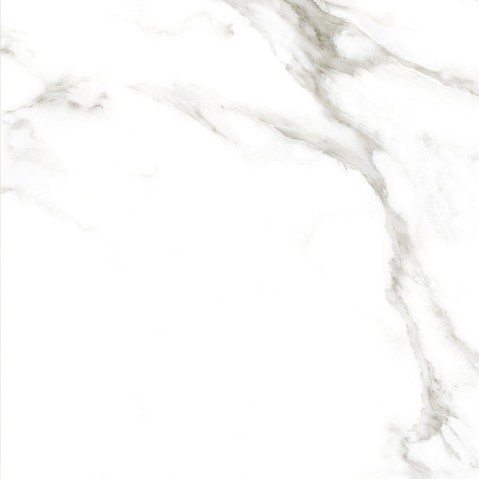 Tesoro 24" x 24" Larsen Rectified Polished Porcelain Tile