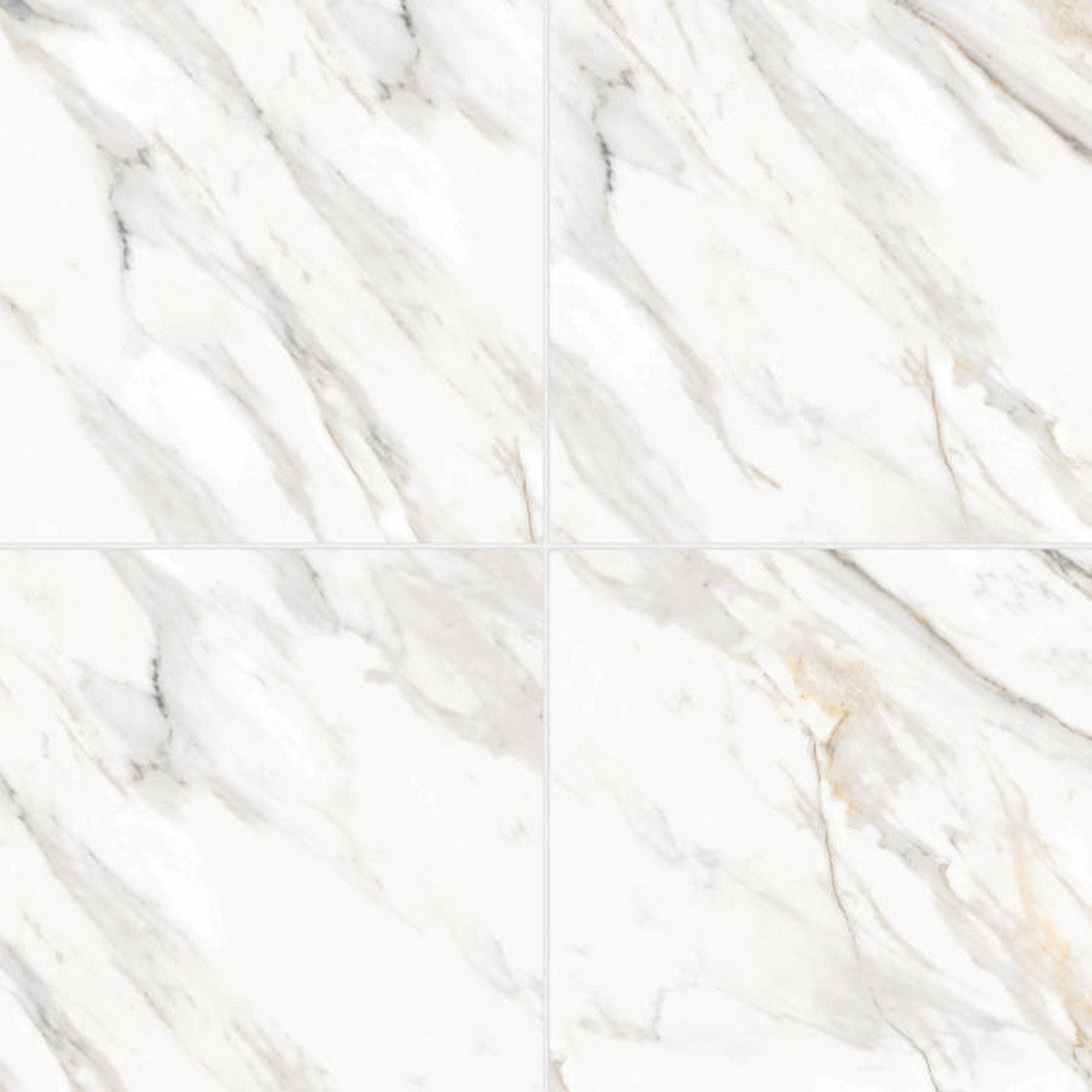 Bedrosians Shandar 24" x 24" Polished Glazed Porcelain Field Tile