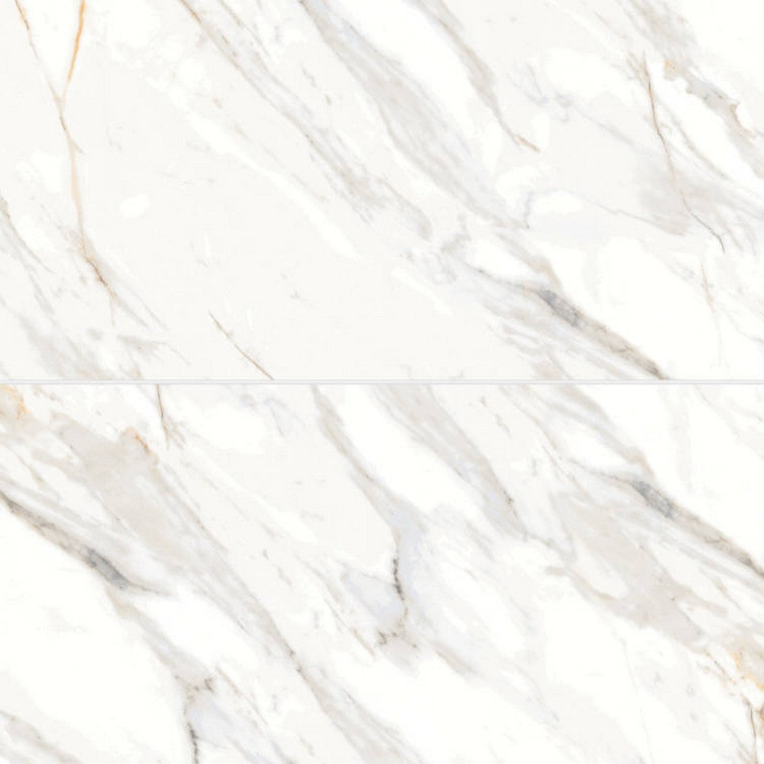 Bedrosians Shandar 24" x 48" Polished Glazed Porcelain Field Tile