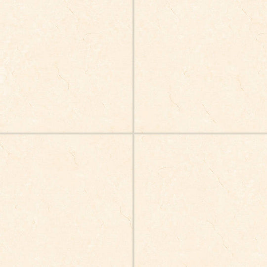 Bedrosians Shandar 24" x 24" Polished Glazed Porcelain Field Tile