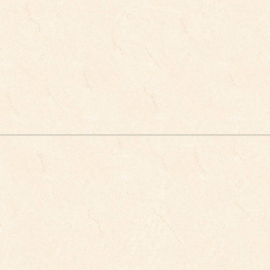 Bedrosians Shandar 24" x 48" Polished Glazed Porcelain Field Tile