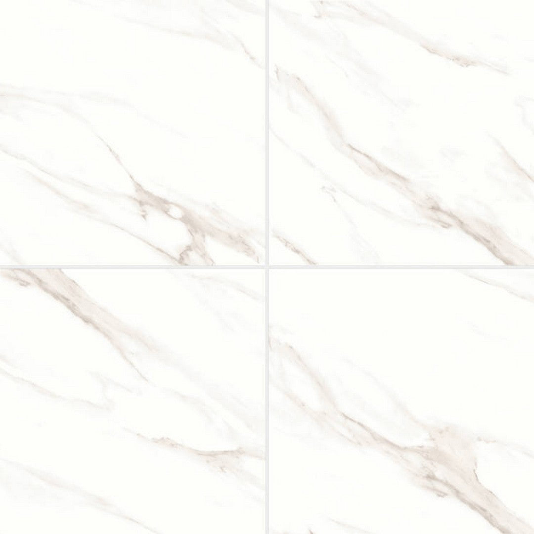 Bedrosians Shandar 24" x 24" Polished Glazed Porcelain Field Tile