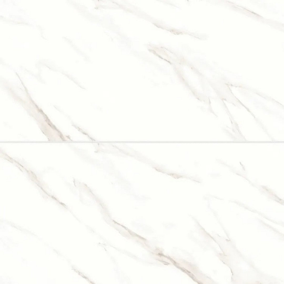 Bedrosians Shandar 24" x 48" Polished Glazed Porcelain Field Tile