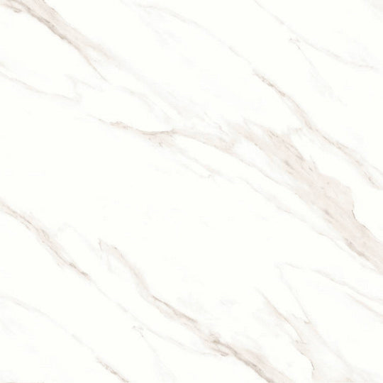 Bedrosians Shandar 48" x 48" Matte Glazed Porcelain Field Tile