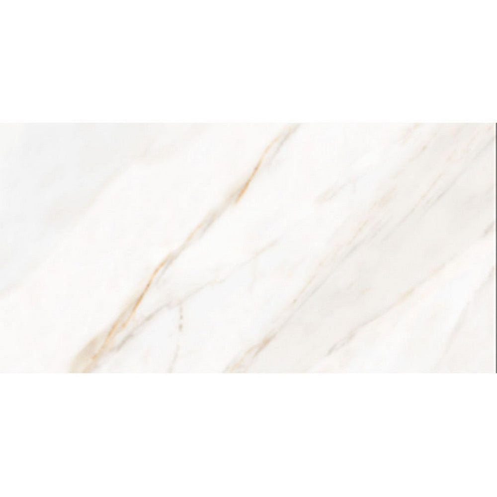 Tesoro 12" x 24" Icaro Matte Porcelain Tile
