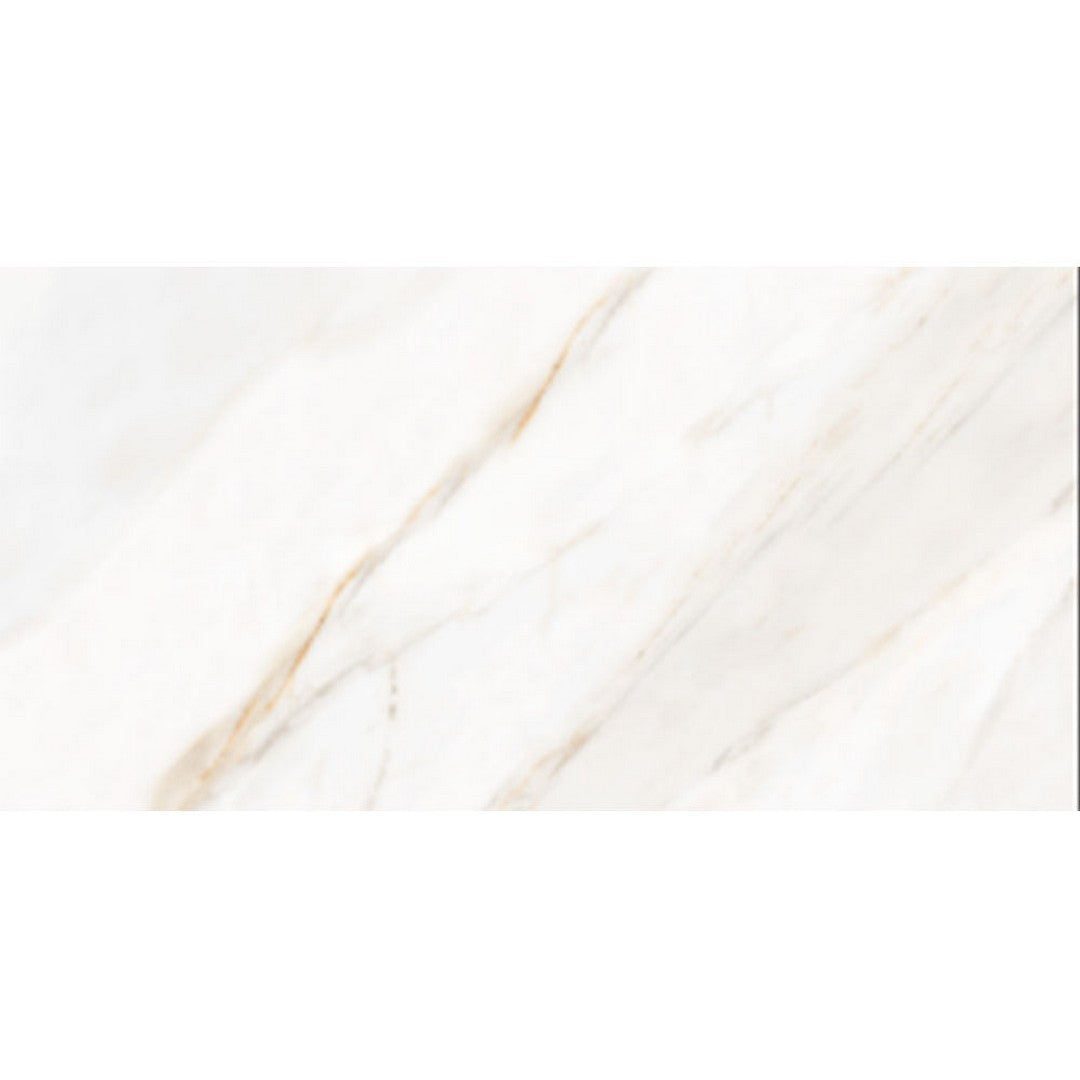 Tesoro 12" x 24" Icaro Matte Porcelain Tile