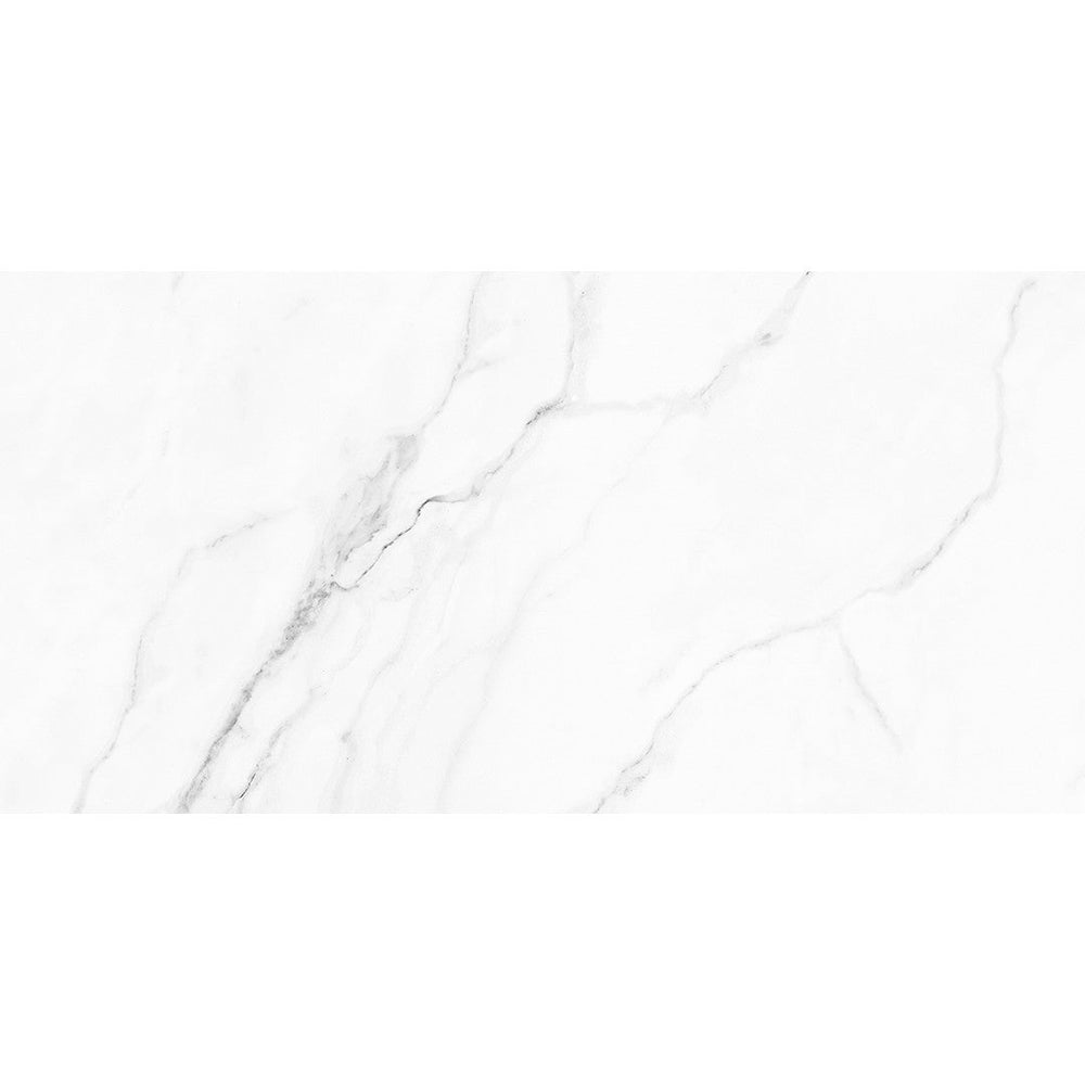 Tesoro 12" x 24" Olimpo Rectified Matte Porcelain Tile
