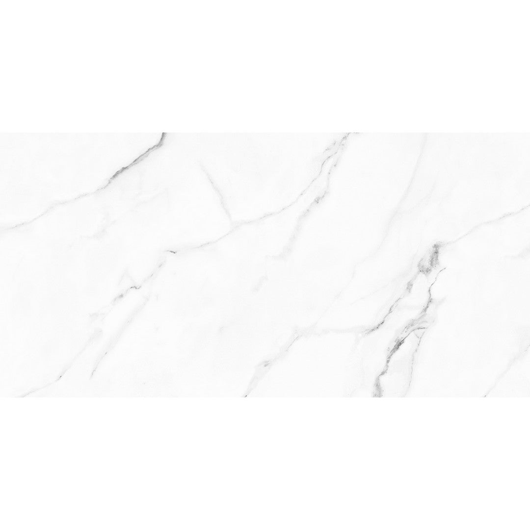 Tesoro 12" x 24" Olimpo Rectified Polished Porcelain Tile