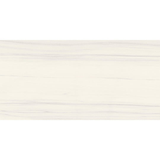 Crossville 24" x 48" Earthen Dream Polished Porcelain Tile