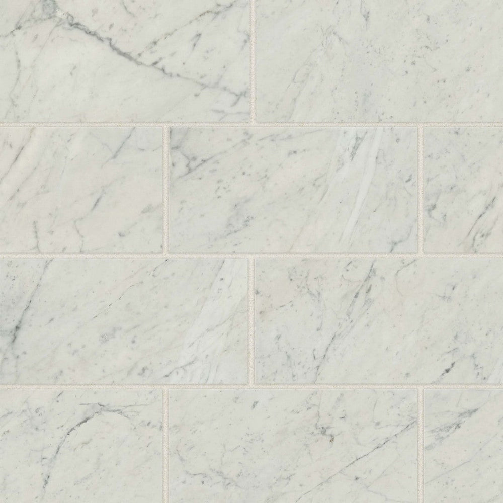 Bedrosians Classic 2.0 - 12" x 24" Polished Porcelain Field Tile