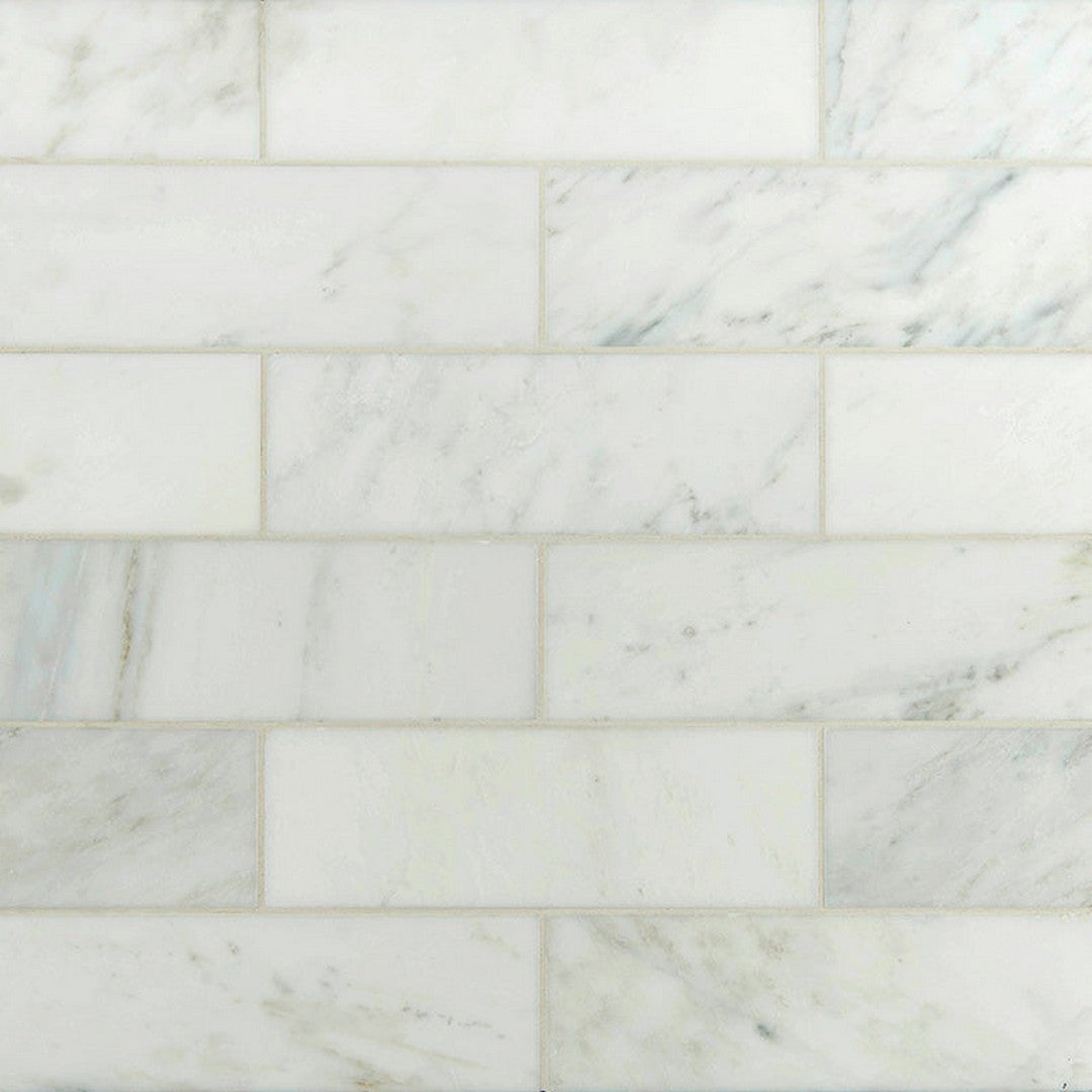 MS International Arabescato Carrara 6" x 12" Honed Marble Tile