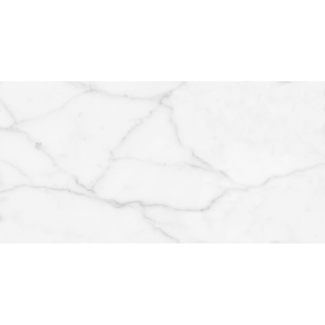 Tesoro 12" x 24" Terreno Rectified Matte Ceramic Wall Tile
