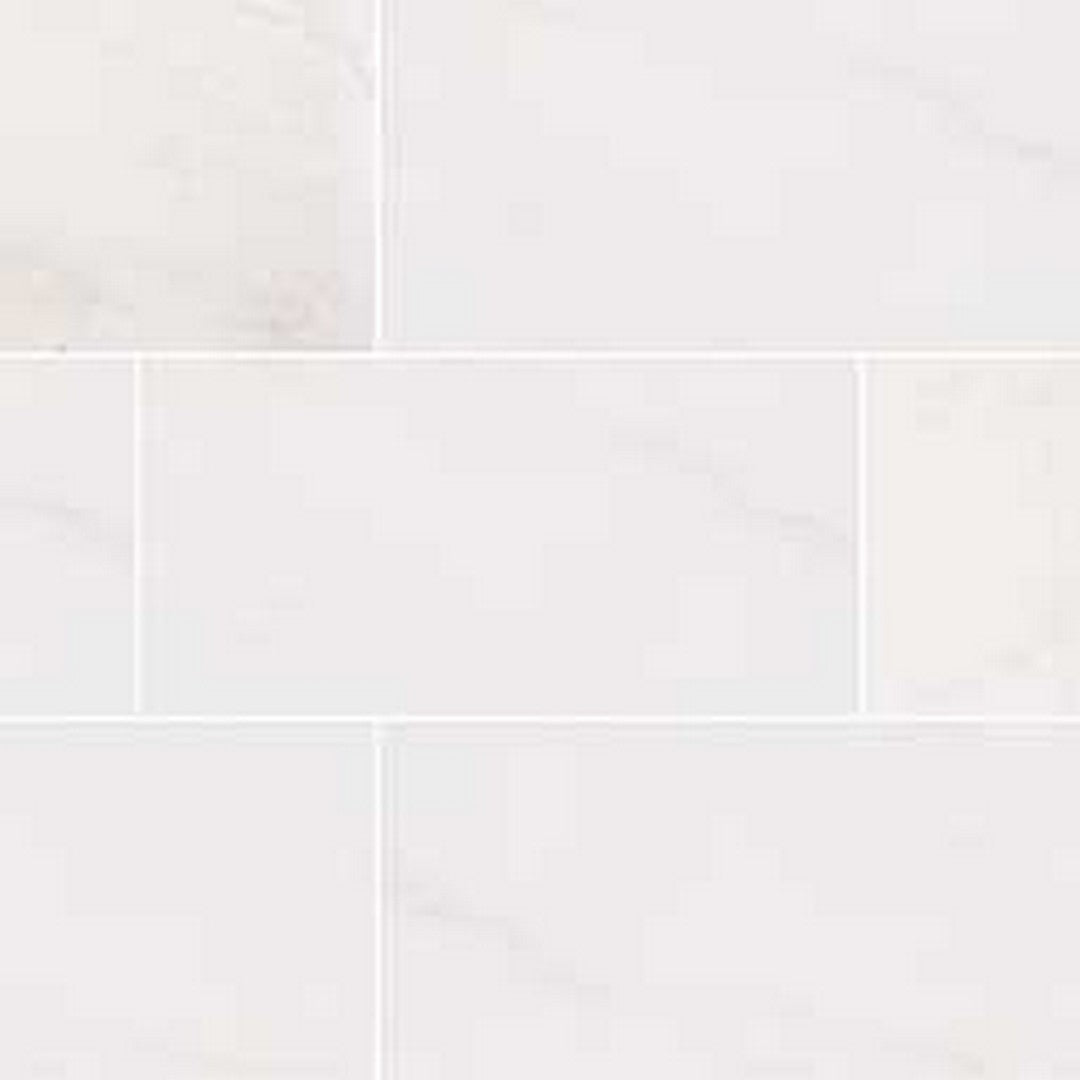 MS International Bianco Dolomite 12" x 24" Polished Marble Tile