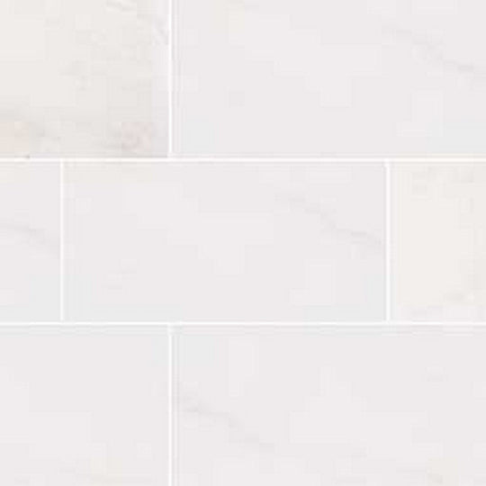 MS International Bianco Dolomite 12" x 24" Polished Marble Tile