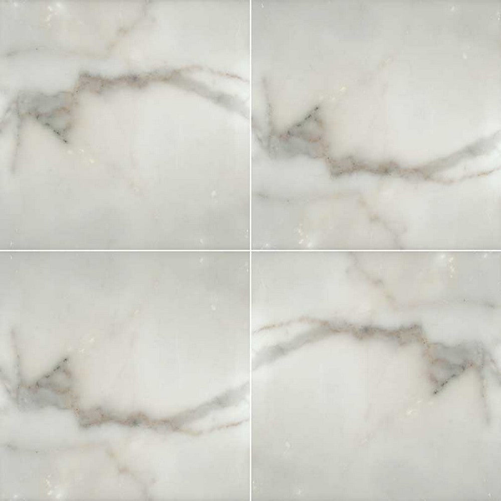 MS International Calacatta Gold 12" x 12" Honed Marble Tile