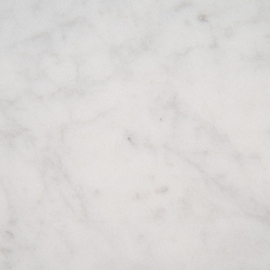 MS International Carrara White 24" x 24" Polished Marble Tile