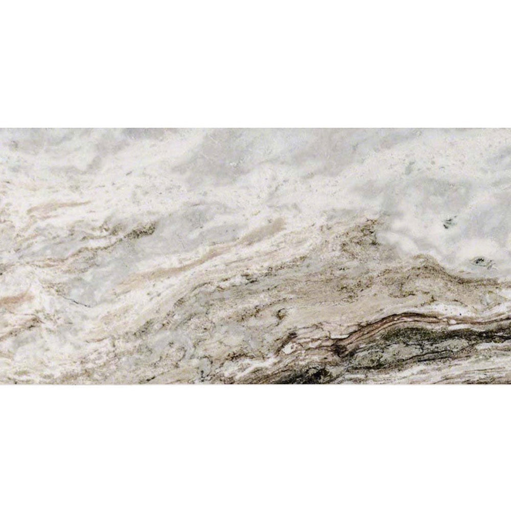 MS International Fantasy Brown 12" x 24" Polished Marble Tile