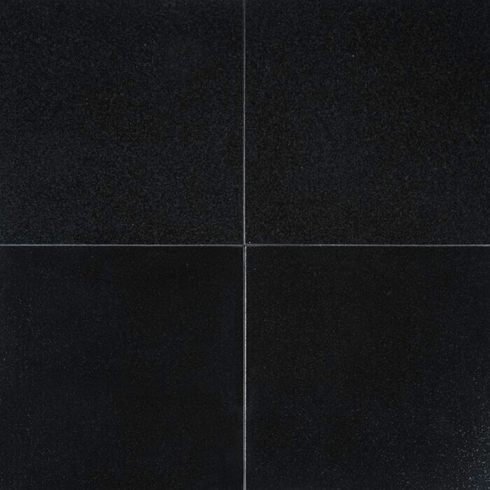 MS International Absolute Black 12" x 12" Polished Granite Wall and Floor Tile