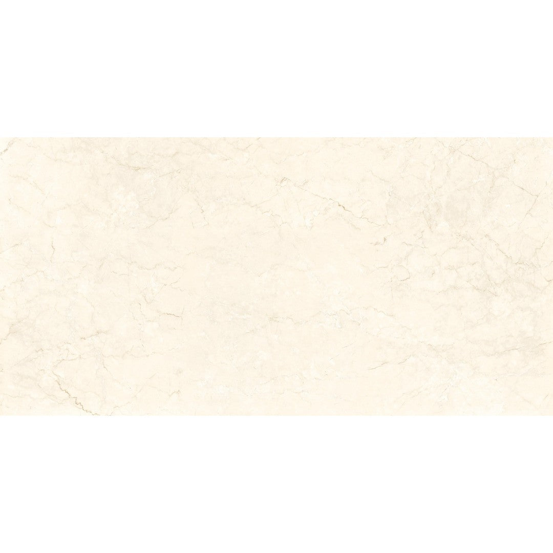 Ottimo Touch 24" x 48" Polished Porcelain Tile