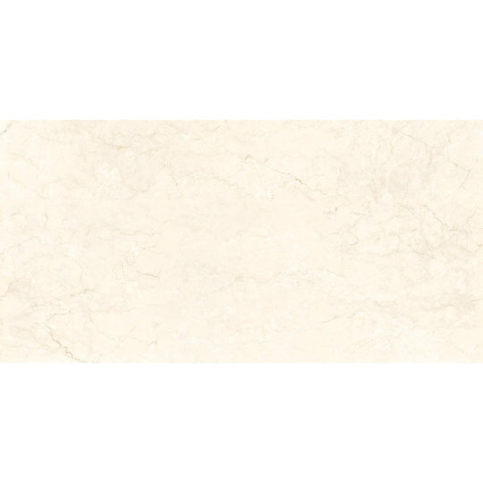 Ottimo Touch 24" x 48" Polished Porcelain Tile