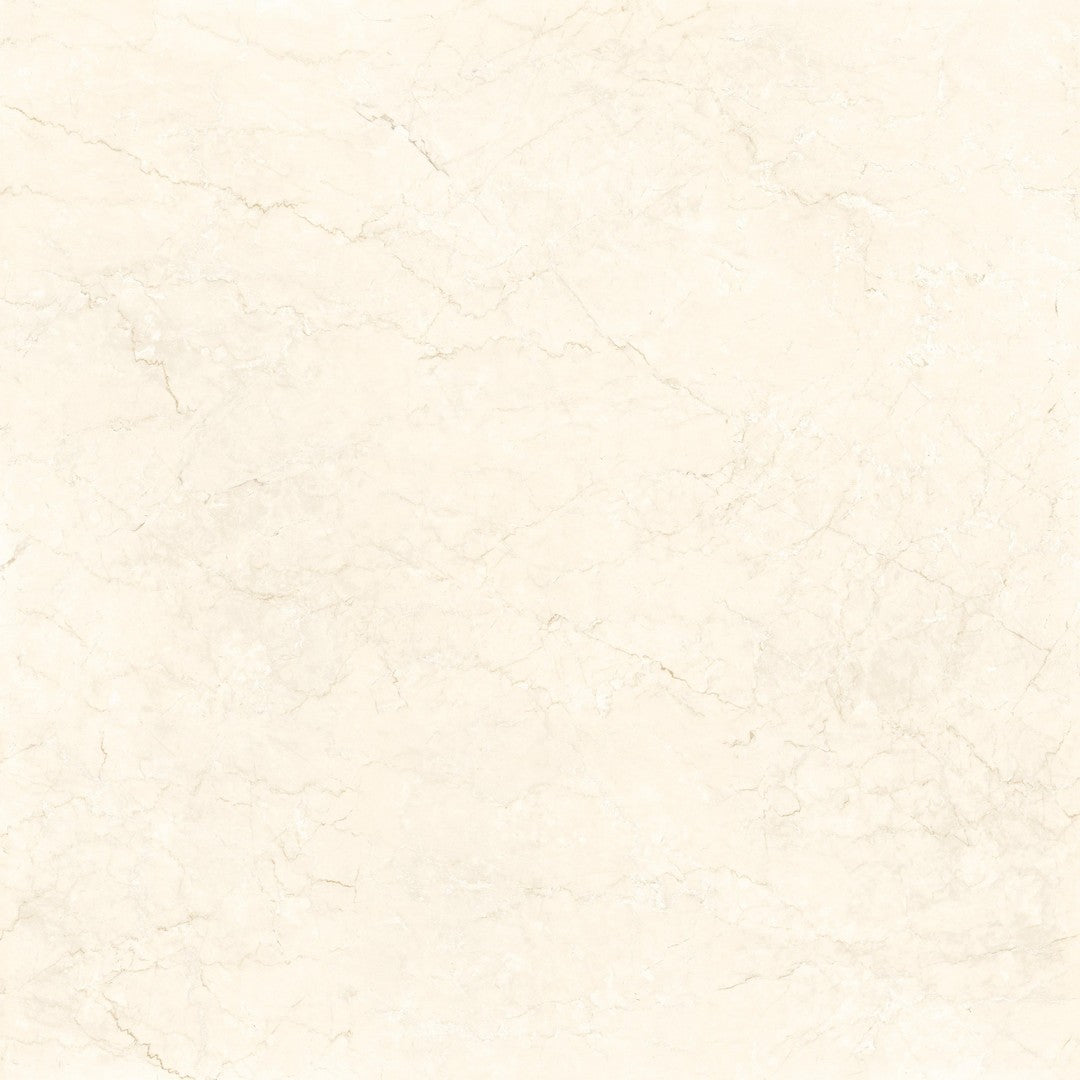 Ottimo Touch 36" x 36" Polished Porcelain Tile