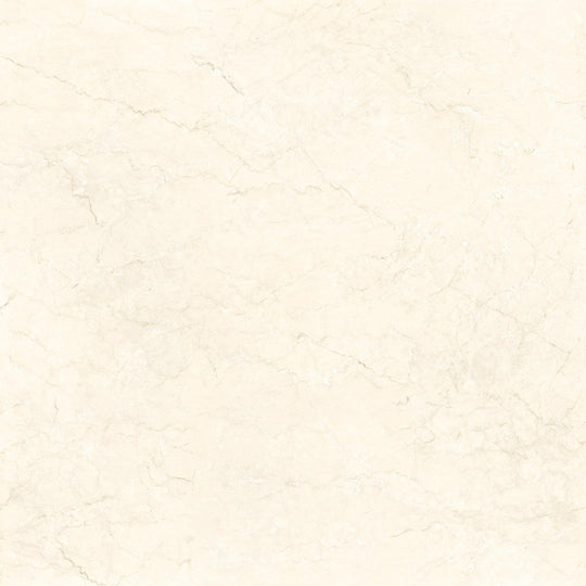 Ottimo Touch 36" x 36" Polished Porcelain Tile