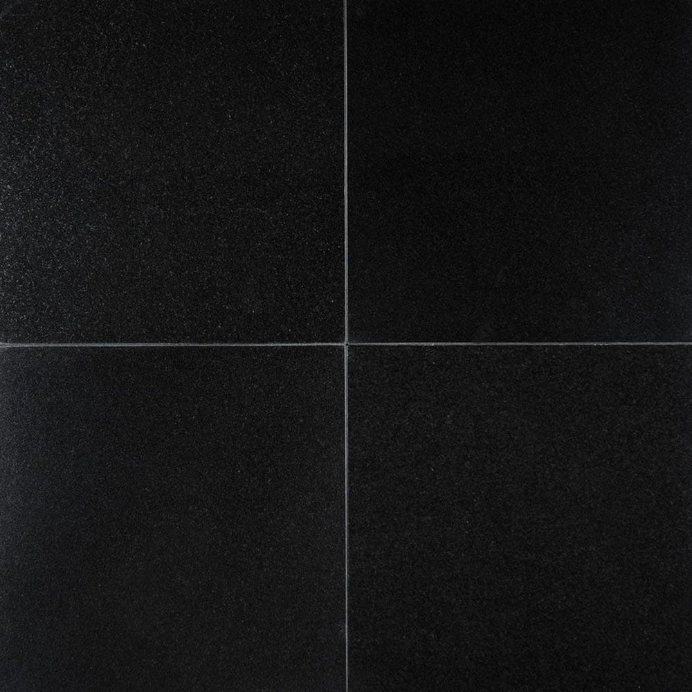 MS International Premium Black 18" x 18" Polished Granite Tile