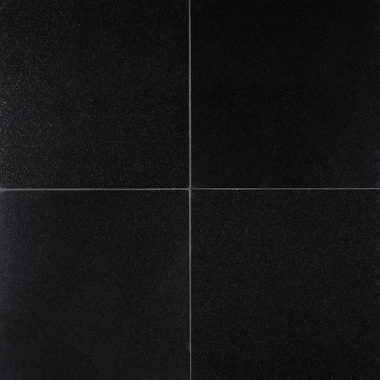 MS International Premium Black 18" x 18" Polished Granite Tile