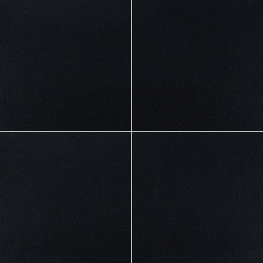 MS International Premium Black 24" x 24" Polished Granite Wall and Floor Tile