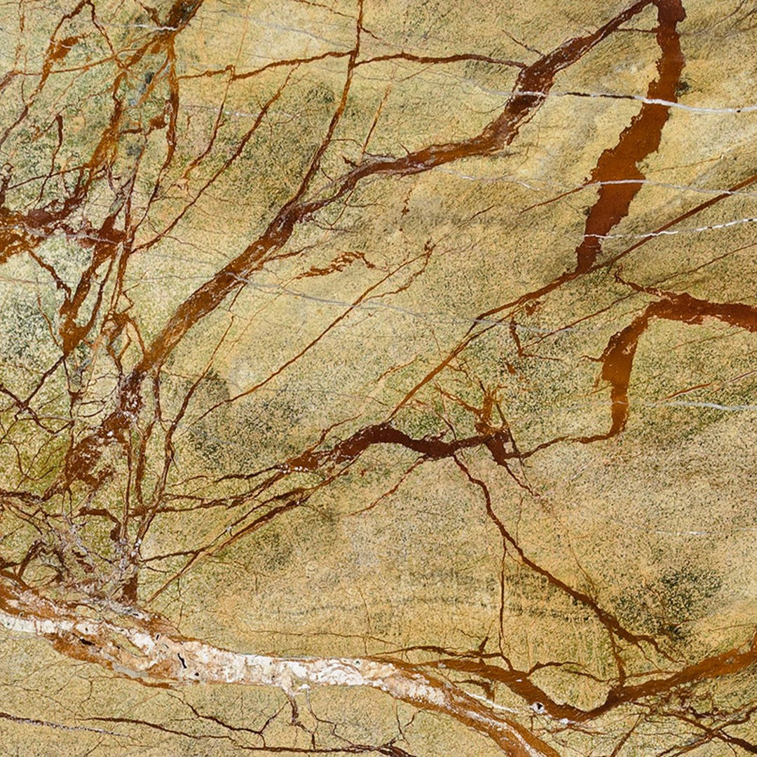 MS International Rain Forest 12" x 12" Polished Marble Tile