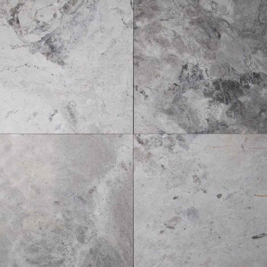 MS International Tundra Gray 12" x 12" Polished Marble Tile