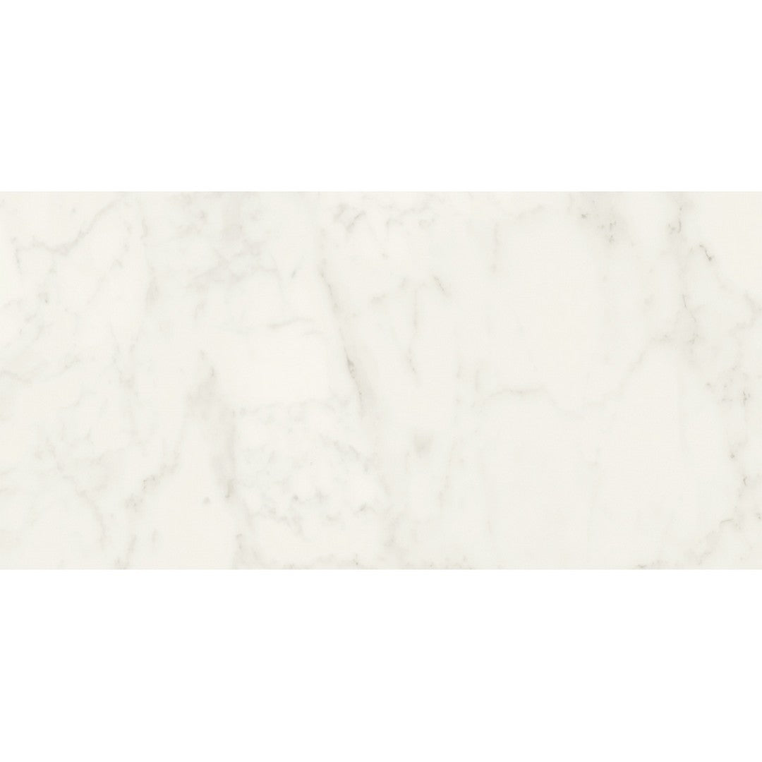Emser Tile 12" x 24" Expanse Dynamix Rectified Matte Porcelain Tile