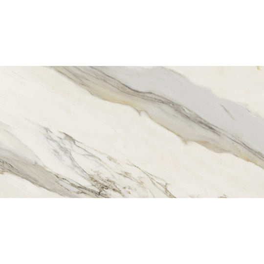 Emser Tile 12" x 24" Expanse Dynamix Rectified Matte Porcelain Tile