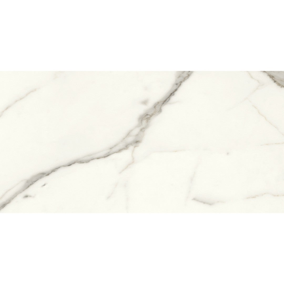 Emser Tile 12" x 24" Expanse Dynamix Rectified Matte Porcelain Tile