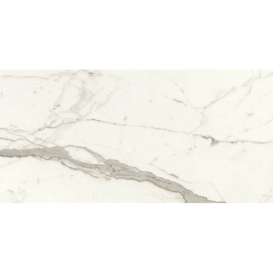 Emser Tile 24" x 47" Expanse Dynamix Rectified Matte Porcelain Tile