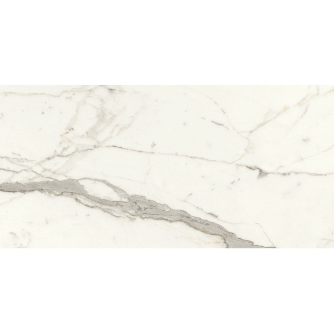 Emser Tile 24" x 47" Expanse Dynamix Rectified Polished Porcelain Tile