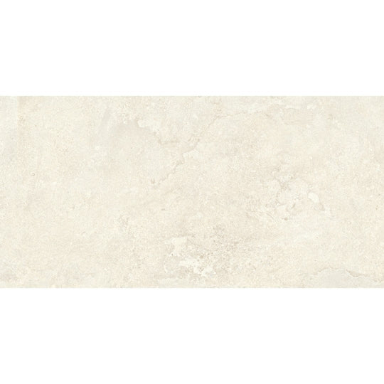 Emser Tile 24" x 47" Expanse Dynamix Rectified Matte Porcelain Tile