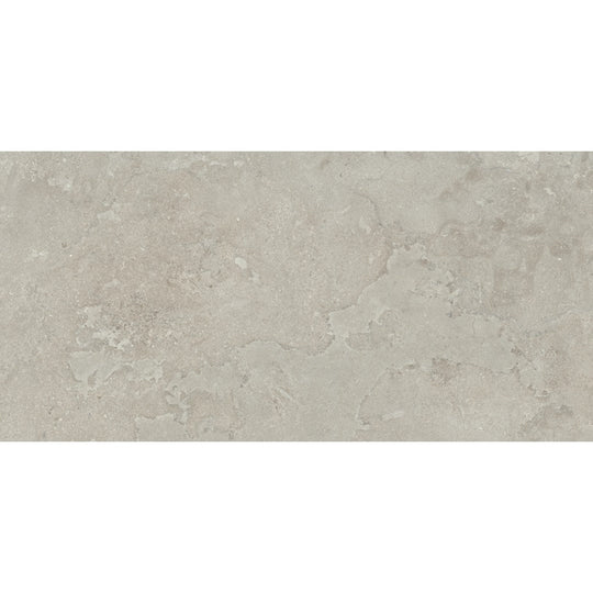 Emser Tile 24" x 47" Expanse Dynamix Rectified Matte Porcelain Tile