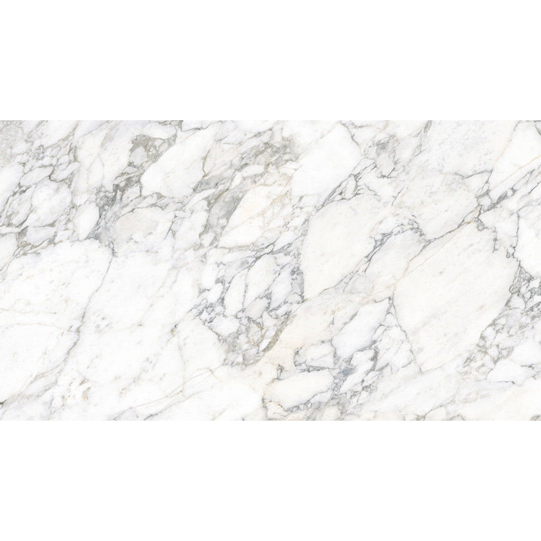 Emser Expanse 63" x 126" Porcelain Polished Tile