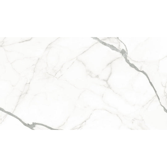 Emser Expanse 63" x 126" Porcelain Polished Tile