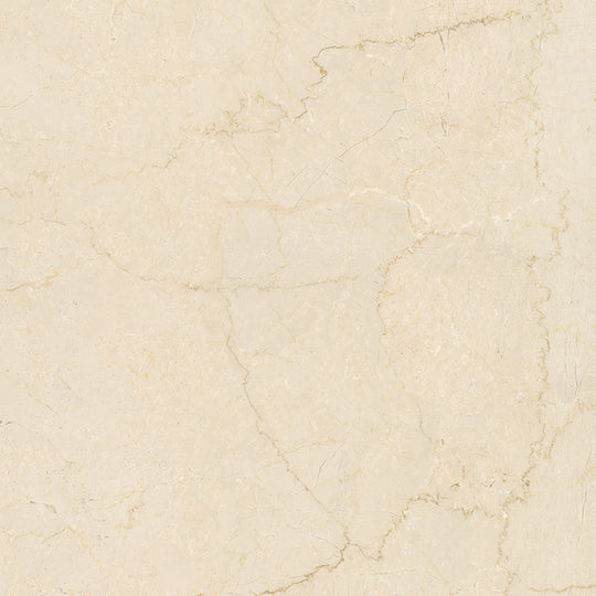 MiR 12" x 12" Velanza Rectified Matte Porcelain Tile