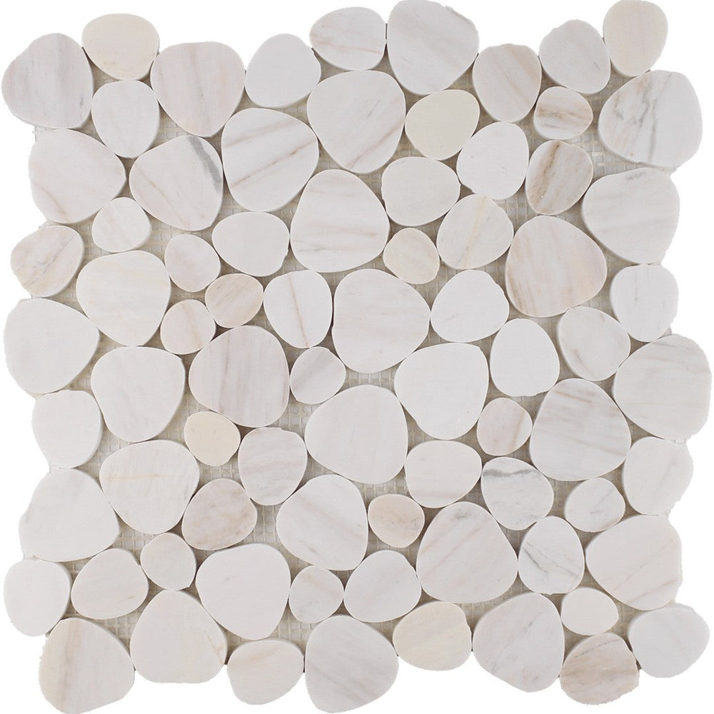 Tesoro 11.25" x 11.25" Ocean Stones Polished Natural Stone Sliced Mosaic
