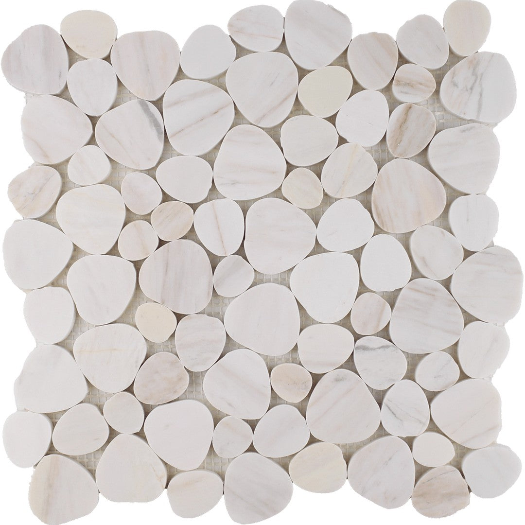 Tesoro 11.25" x 11.25" Ocean Stones Polished Natural Stone Sliced Mosaic