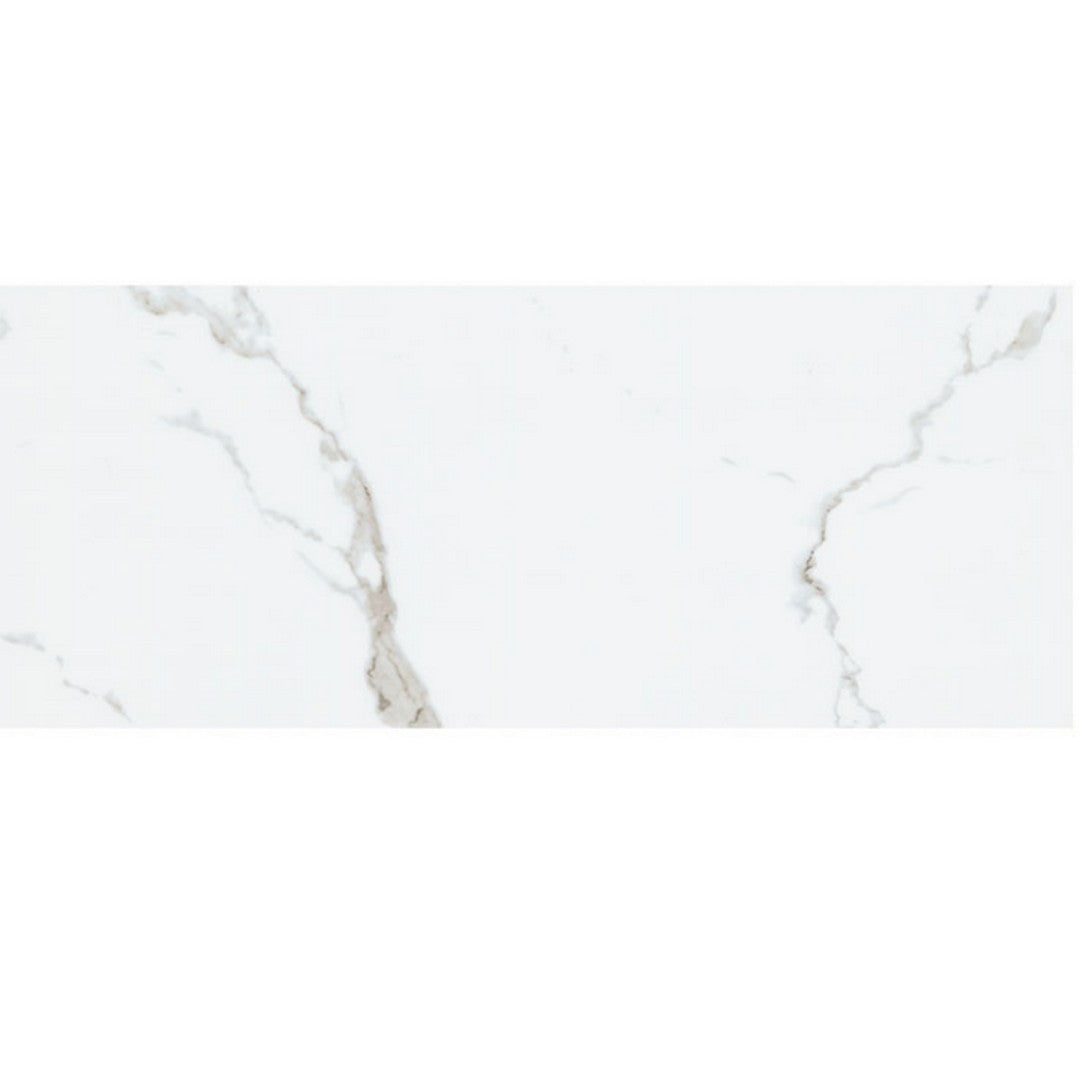 MS International 12" x 24" Glenridge Low Gloss Luxury Vinyl Tile