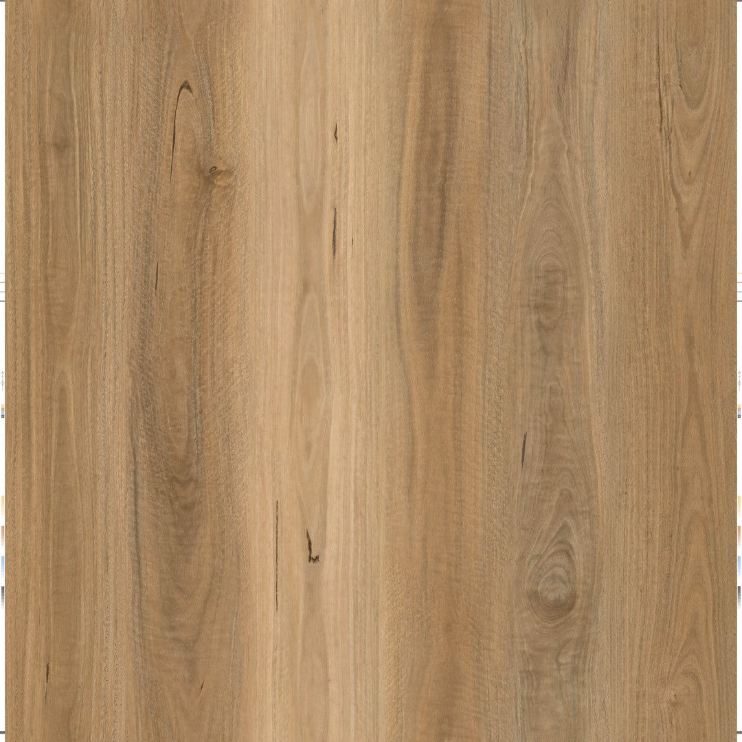 Parkay Floors Force Plus 9.37" x 60" Vinyl Plank