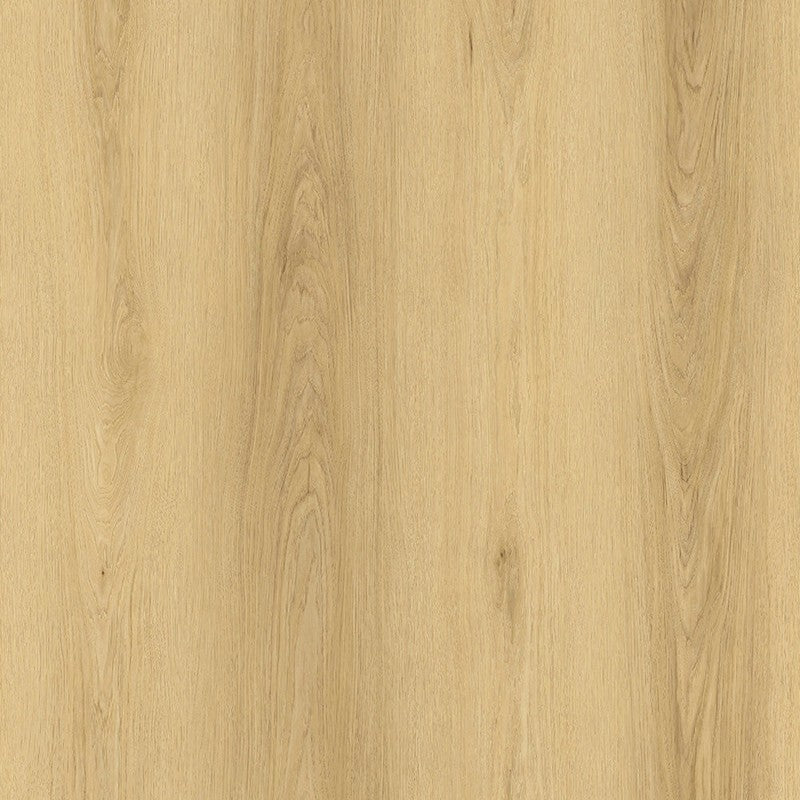 Parkay Floors 9.25" x 60" XDP Dryback Random EIR Luxury Vinyl Plank