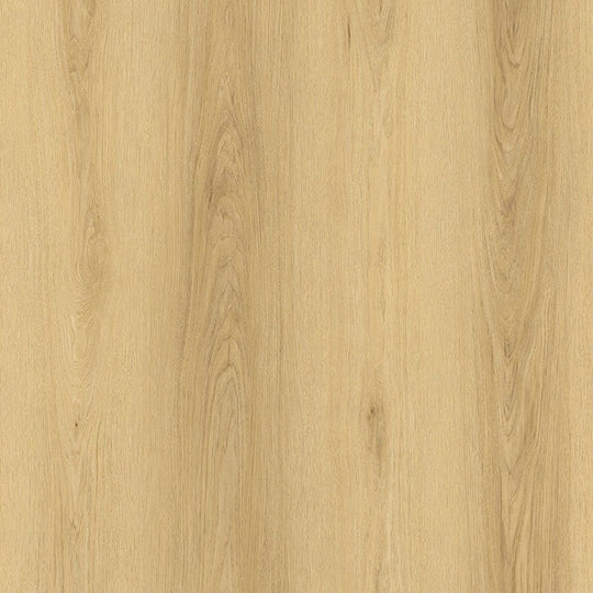 Parkay Floors 9.25" x 60" XDP Dryback Random EIR Luxury Vinyl Plank