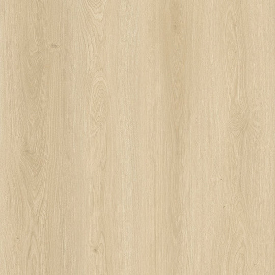 Parkay Floors 9.25" x 60" XDP Dryback Random EIR Luxury Vinyl Plank