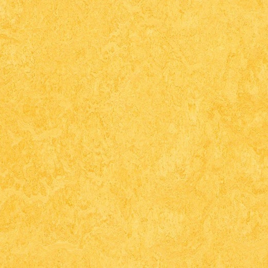 Forbo Marmoleum Modular Color Smooth Vinyl Tile 19.69" x 19.69"