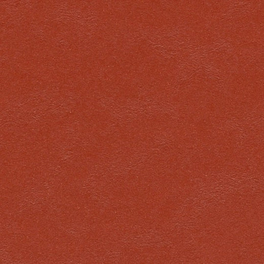 Forbo Marmoleum Modular Color Smooth Vinyl Tile 19.69" x 19.69"